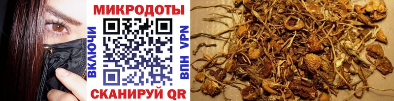 МЕГА как войти  где купить наркоту  Белокуриха  Псилоцибиновые грибы прущие грибы 